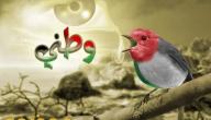 صورة مقال كلام حزين عن الوطن