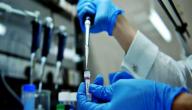 صورة مقال كيف يتم عمل تحليل ال DNA