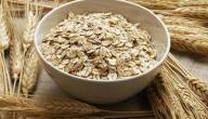 صورة مقال طريقة عمل الشوفان للإفطار