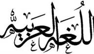صورة مقال كيف أتعلم قواعد اللغة العربية