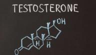 صورة مقال كيف أحصل على هرمون التستوستيرون