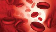 صورة مقال كيف أزيد من نسبة الهيموجلوبين