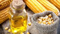 صورة مقال كيف يصنع زيت الذرة