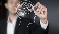 صورة مقال كيف يفكر عقل الإنسان