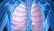 صورة مقال كيف يدخل الهواء إلى الرئتين وكيف يخرج منها