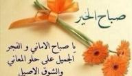 صورة مقال عبارات الصباح للأصدقاء