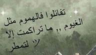 صورة مقال كلام جميل وكلام معقول