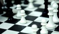 صورة مقال كيف تلعب الشطرنج للمبتدئين