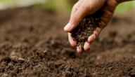 مكونات التربة