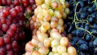 صورة مقال أنواع العنب