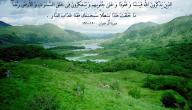 صورة مقال كلمات عن جمال الطبيعة