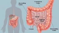 صورة مقال أعراض تهيج القولون