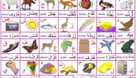 صورة مقال تعليم الحروف الأبجدية