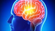 صورة مقال تمارين لتقوية الذاكرة