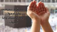 صورة مقال أجمل الدعاء