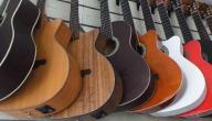 أنواع الجيتارات