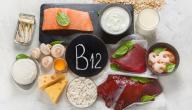 صورة مقال علاج نقص فيتامين ب12