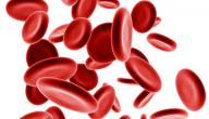 صورة مقال بحث حول فقر الدم