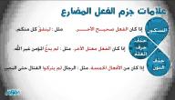 صورة مقال أدوات نصب وجزم الفعل المضارع