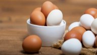 صورة مقال أين يوجد البروتين في البيض