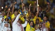 صورة مقال كم عدد بطولات النصر