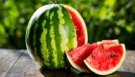 صورة مقال فوائد البطيخ الأحمر