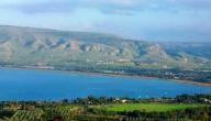صورة مقال معلومات عن بحيرة طبريا