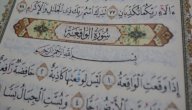 فوائد سورة الواقعة