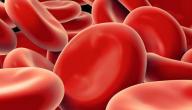 صورة مقال فقر الدم