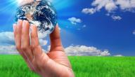 صورة مقال التوازن الطبيعي وحماية البيئة