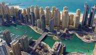صورة مقال عدد سكان دبي
