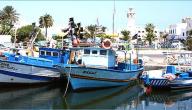 صورة مقال موانئ الصيد البحري بالبلاد التونسية