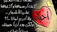 صورة مقال كلمات في الحب والعشق