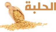 صورة مقال فوائد زيت الحلبة للتسمين