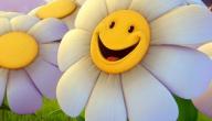 صورة مقال موضوع تعبير عن الابتسامة