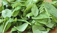 صورة مقال فوائد السبانخ للحامل