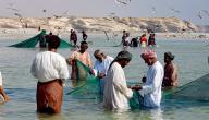صورة مقال صيد السمك في عمان