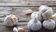 تقرير عن فوائد الثوم