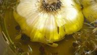 صورة مقال خلطة الثوم وزيت الزيتون للشعر