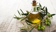صورة مقال مكونات زيت الزيتون
