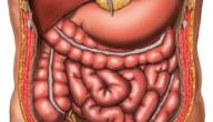 صورة مقال هل عمرك خمسون سنة أو أكثر ؟ احذري من مشاكل القولون