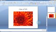 صورة مقال طريقة عمل عرض بوربوينت