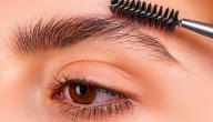 صورة مقال ما حكم تشقير الحواجب
