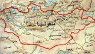 صورة مقال دولة منغوليا