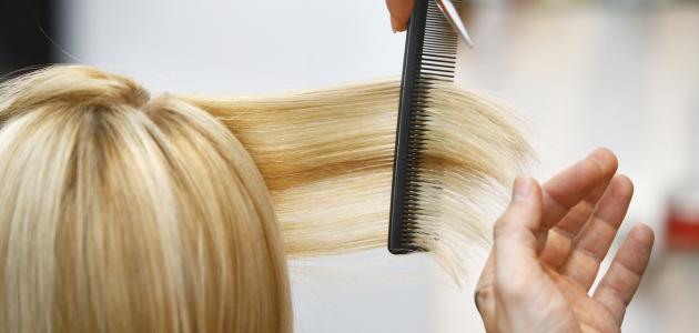 فوائد زيت حبة البركة للشعر صورة مقال فوائد زيت حبة البركة للشعر