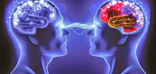 خصائص التفكير الفلسفي صورة مقال خصائص التفكير الفلسفي