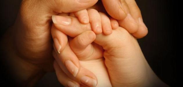 كلام في الوفاء والأخلاص صورة مقال كلام في الوفاء والأخلاص