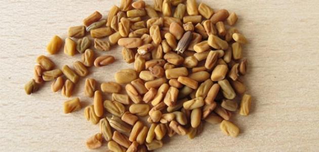 هل يوجد طرق لزيادة الوزن في أسبوع بالحلبة؟ صورة مقال هل يوجد طرق لزيادة الوزن في أسبوع بالحلبة؟