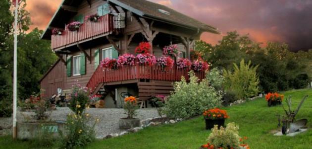 مدينة هايدي صورة مقال مدينة هايدي