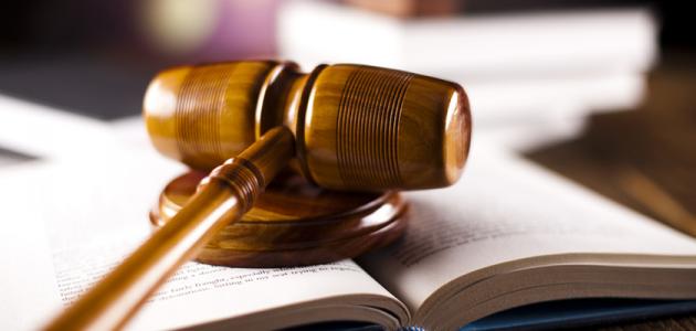 القانون الدستوري والنظم السياسية صورة مقال القانون الدستوري والنظم السياسية